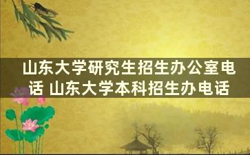 山东大学研究生招生办公室电话 山东大学本科招生办电话